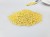 Mustard Seeds 1.95Kg