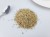 Cumin Seeds 100g