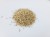 Cumin Seeds 50g